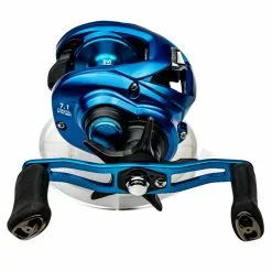 Daiwa Coastal SV TWS Reel