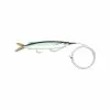 Baitmasters Of South Florida Baitmasters Ballyhoo Packs