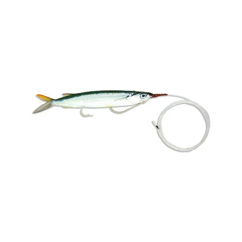 Baitmasters Of South Florida Baitmasters Ballyhoo Packs