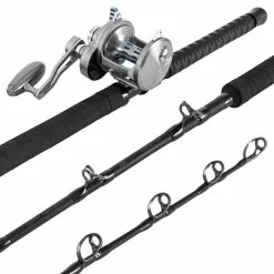Daiwa Proteus Rail Rod & Saltiga Reel Combos