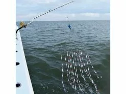 Ledge Logic Dredge Booms